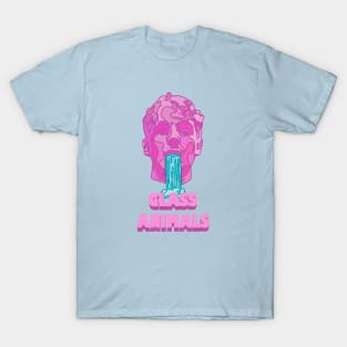 Glass Animals Soda Waterfalls (Head and Logo) T-Shirt